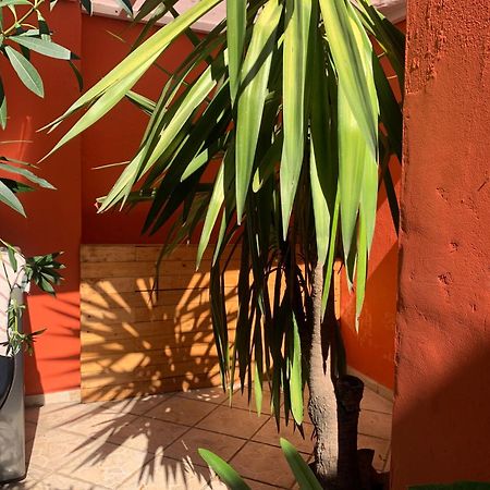 Villa Coyoacan Meksika Dış mekan fotoğraf
