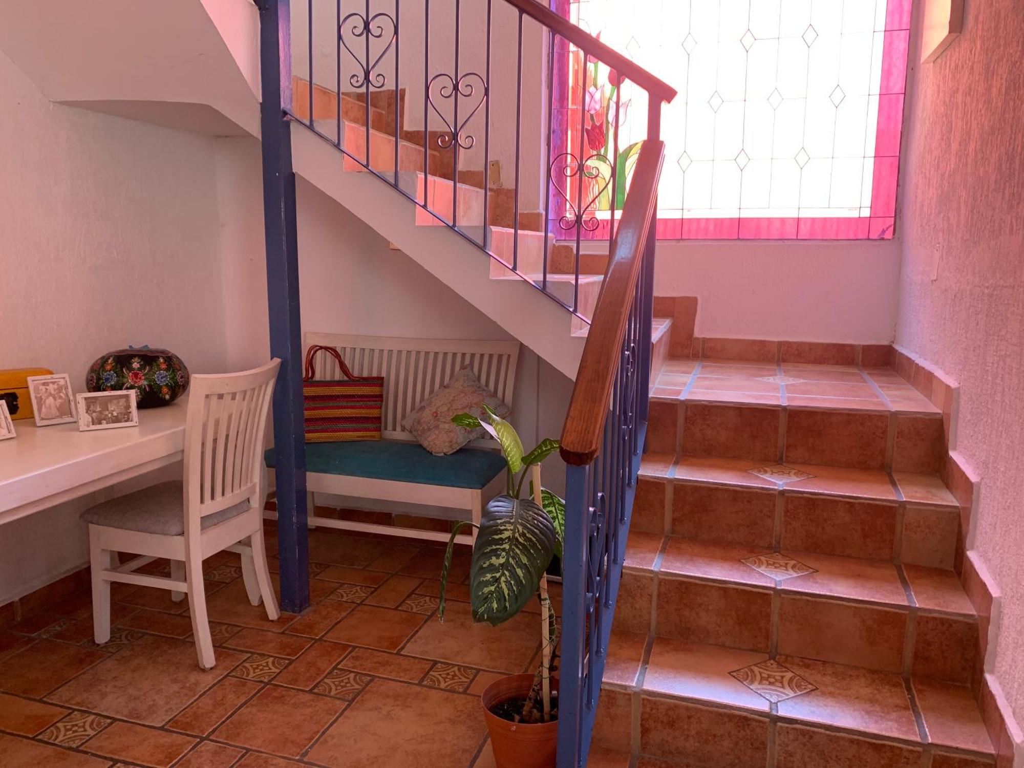 Villa Coyoacan Meksika Dış mekan fotoğraf