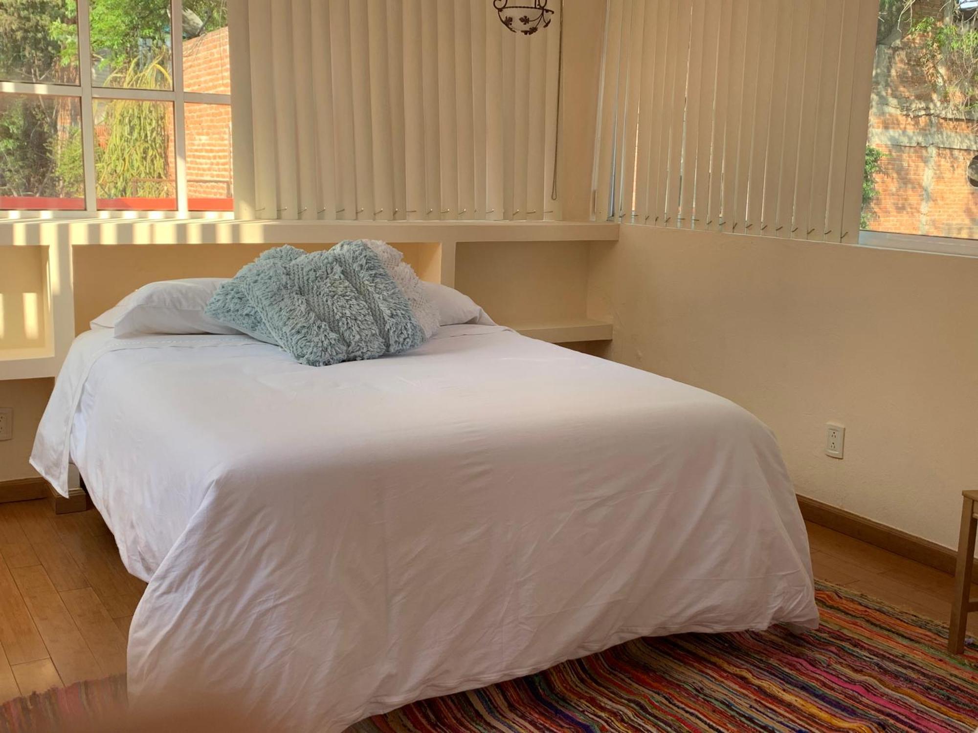 Villa Coyoacan Meksika Dış mekan fotoğraf