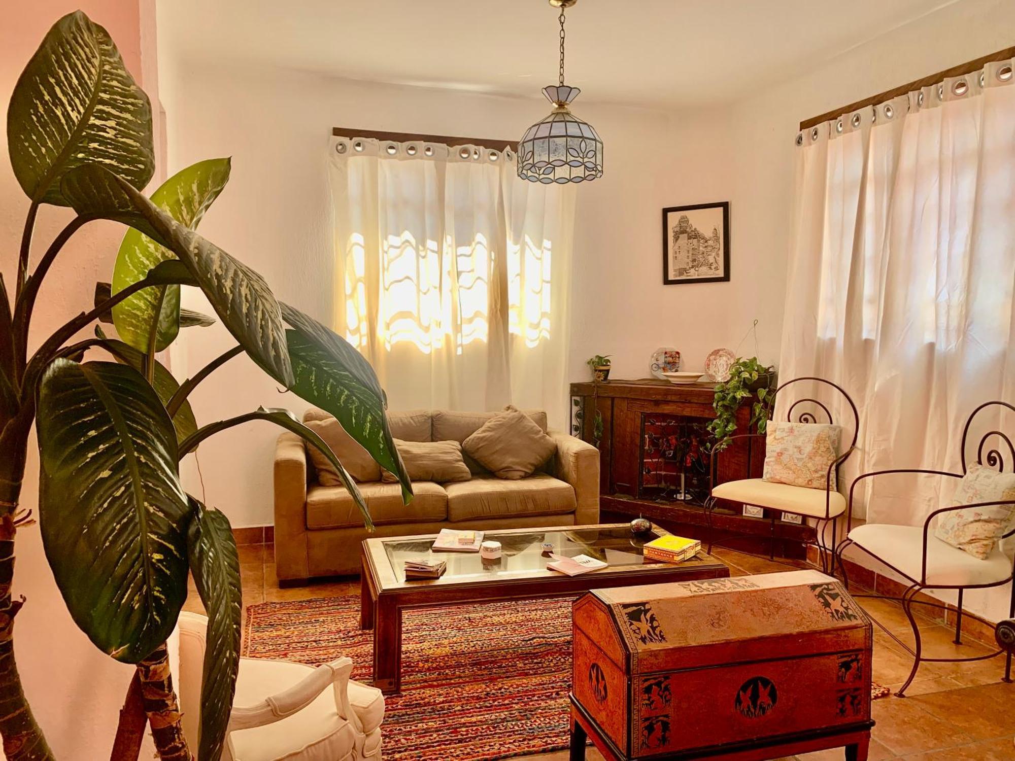 Villa Coyoacan Meksika Dış mekan fotoğraf