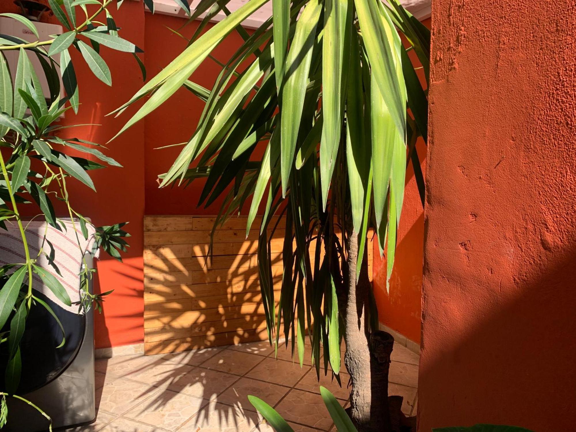 Villa Coyoacan Meksika Dış mekan fotoğraf