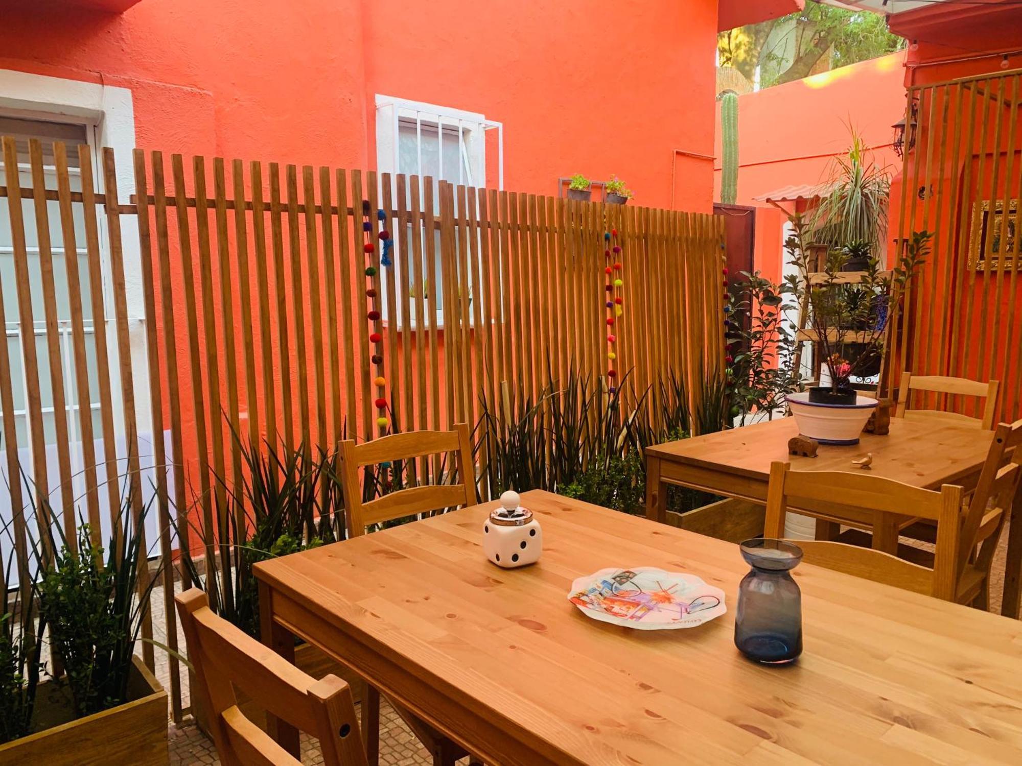 Villa Coyoacan Meksika Dış mekan fotoğraf