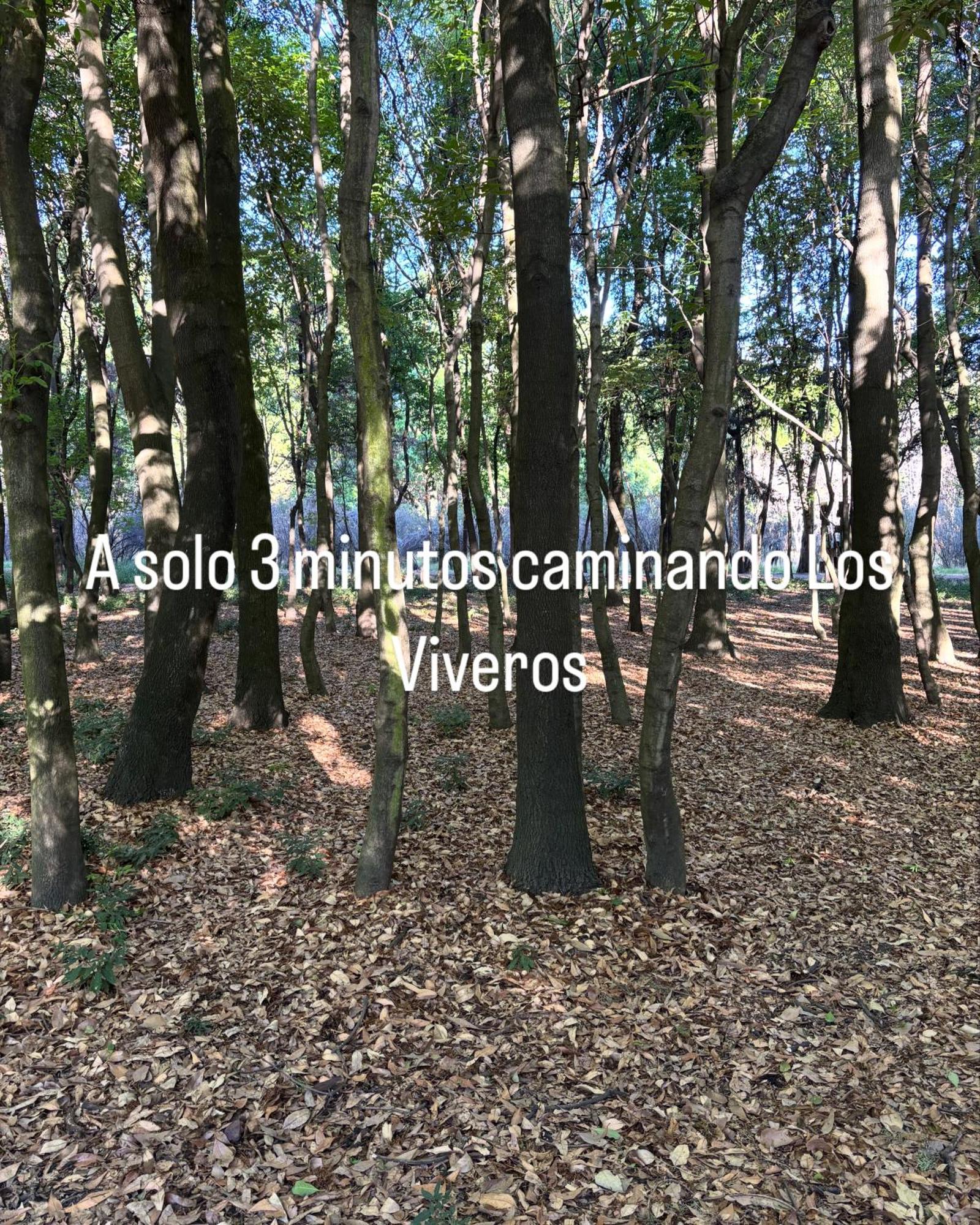 Villa Coyoacan Meksika Dış mekan fotoğraf