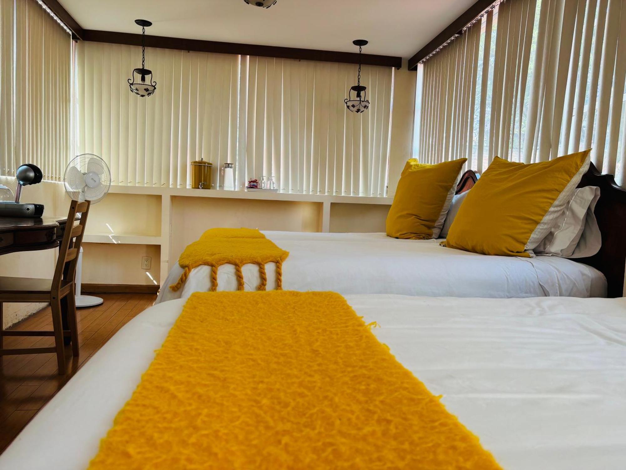 Villa Coyoacan Meksika Dış mekan fotoğraf