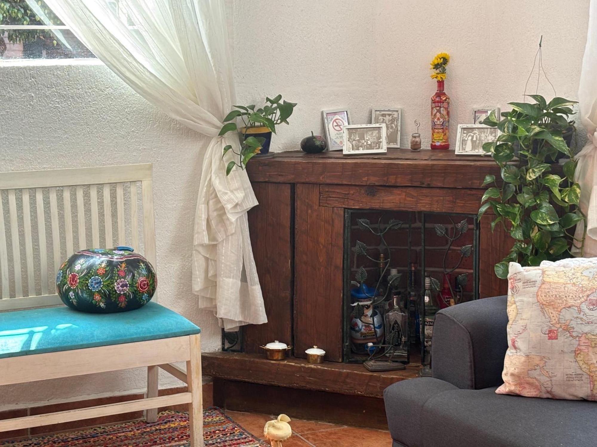 Villa Coyoacan Meksika Dış mekan fotoğraf