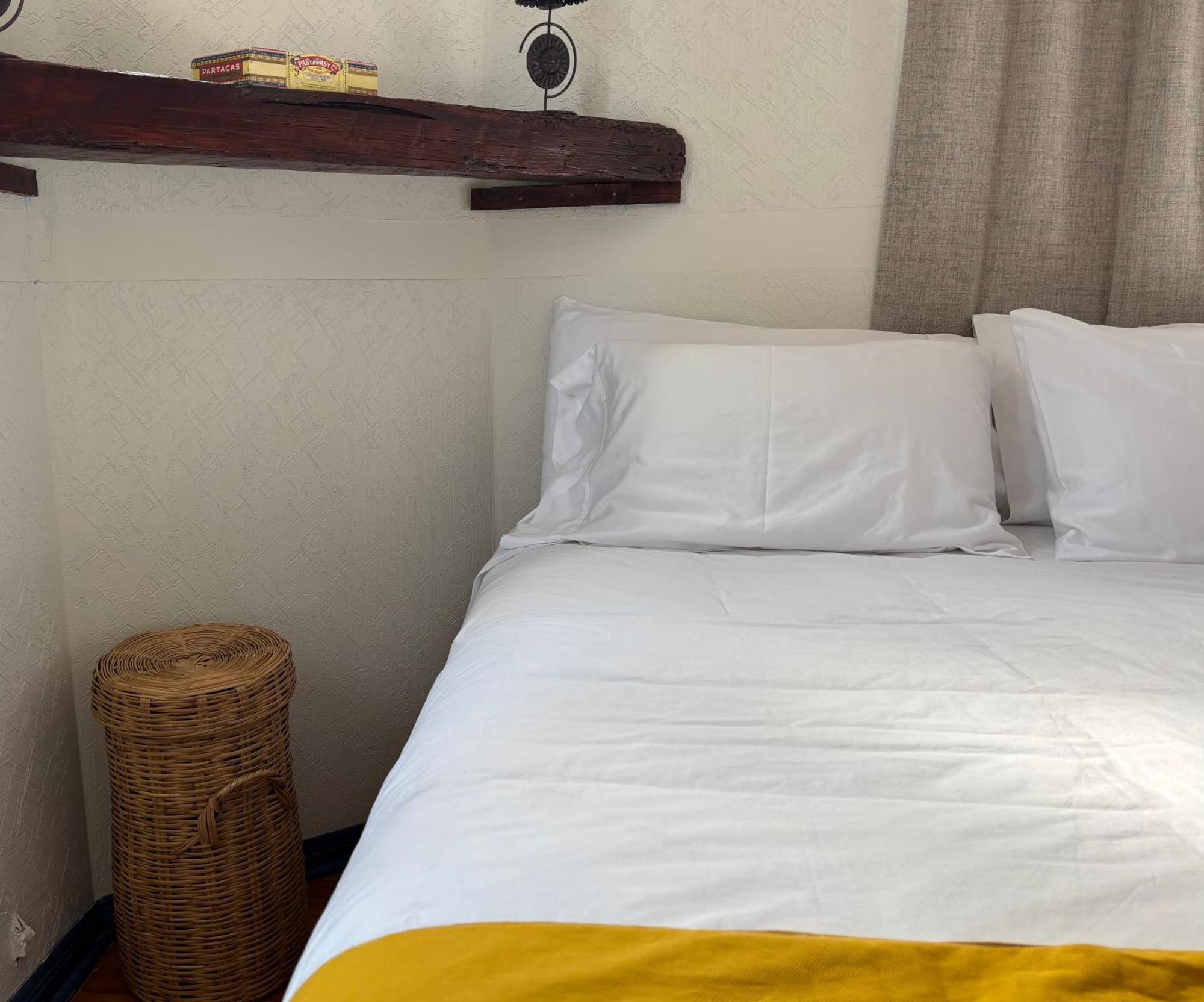 Villa Coyoacan Meksika Dış mekan fotoğraf